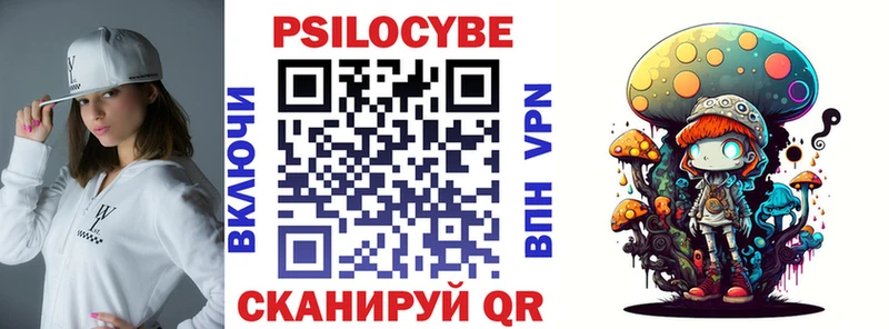 наркота  Новая Ладога  Псилоцибиновые грибы Psilocybine cubensis 