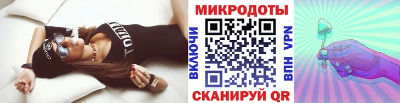 Псилоцибиновые грибы мицелий Новая Ладога