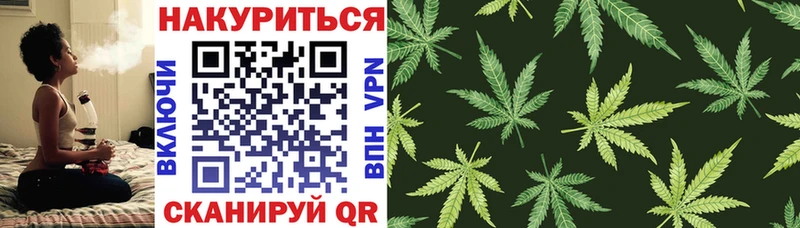МАРИХУАНА тримм  даркнет сайт  Новая Ладога 